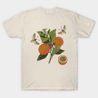 Botanical illustration of plants orange and butterflies T-Shirt